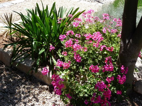 Country Bakehouse Accommodation - Accommodation Yamba 18