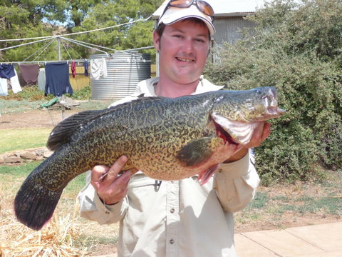 Country Bakehouse Accommodation - Accommodation Yamba 20