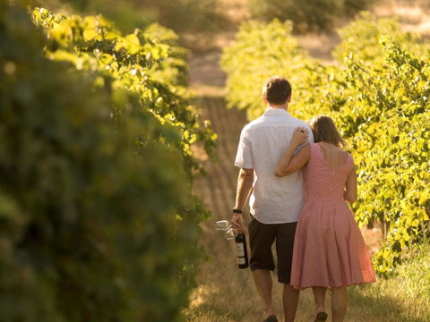 Novotel Barossa Valley Resort - Accommodation Yamba 40