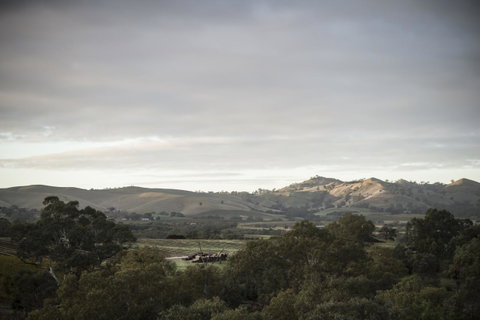 Novotel Barossa Valley Resort - Accommodation Yamba 23