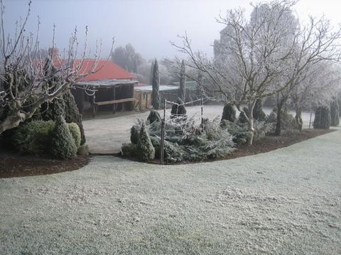 Vineyard Cottage BnB - Accommodation Yamba 15