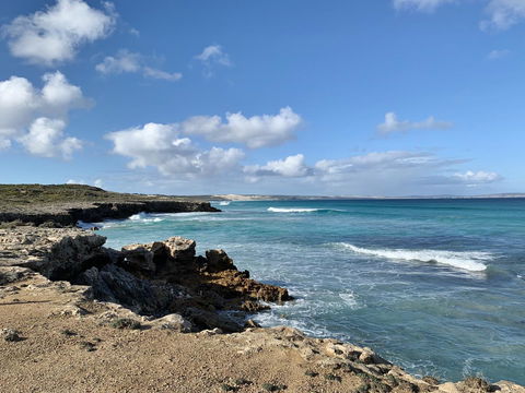 Hilton Beachfront Motel - Accommodation Yamba 6