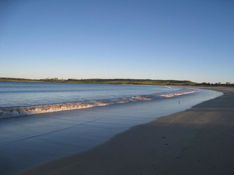 Pelicans Rest Shellharbour - Accommodation Yamba 17