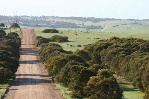 Almonta Park Lodge - Accommodation Yamba 1