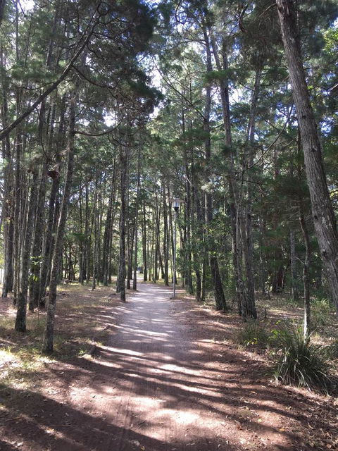 Brunswick Heads Treetop Studio - Accommodation Yamba 8