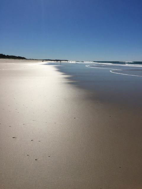Brunswick Heads Treetop Studio - Accommodation Yamba 23