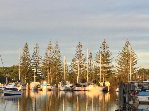 Brunswick Heads Treetop Studio - Accommodation Yamba 24