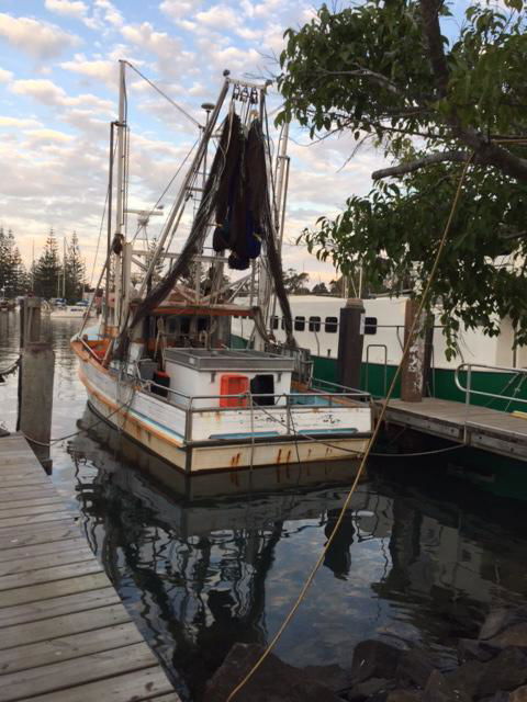 Brunswick Heads Treetop Studio - Accommodation Yamba 25
