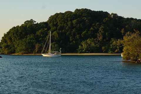 Brunswick Heads Treetop Studio - Accommodation Yamba 9