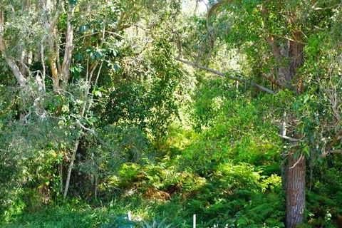 Brunswick Heads Treetop Studio - Accommodation Yamba 20