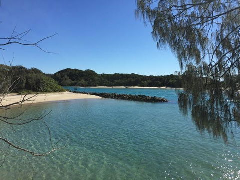 Brunswick Heads Treetop Studio - Accommodation Yamba 22