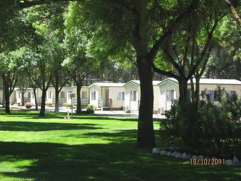 BIG 4 Barossa Tourist Park - Accommodation Yamba 0