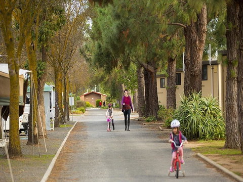 BIG 4 Barossa Tourist Park - Accommodation Yamba 36