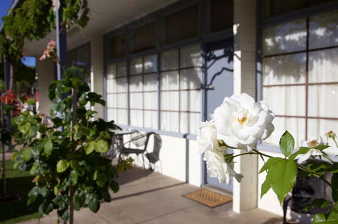 Guichen Bay Motel - Accommodation Yamba 33