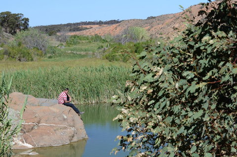 Burra Motor Inn - Accommodation Yamba 34