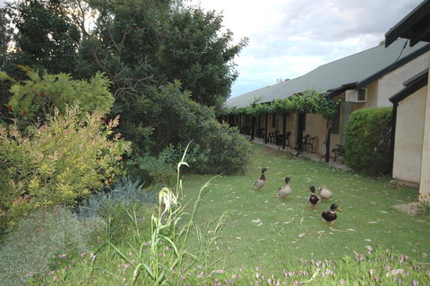 Burra Motor Inn - Accommodation Yamba 24