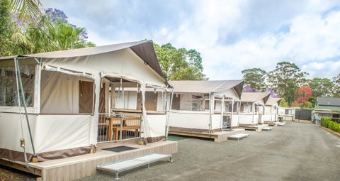 Jervis Bay Holiday Park - Accommodation Yamba 6