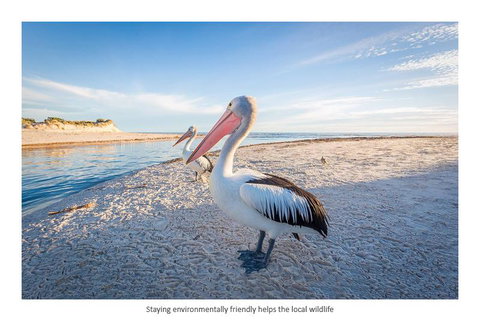Adelaide Luxury Beach House - Accommodation Yamba 25