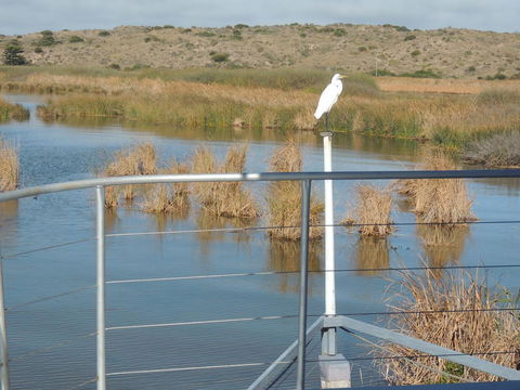 PS Federal Retreat Paddle Steamer Goolwa - Accommodation Yamba 11