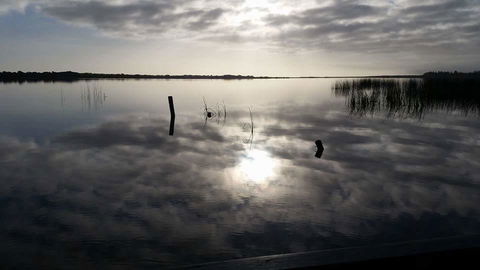 PS Federal Retreat Paddle Steamer Goolwa - Accommodation Yamba 16