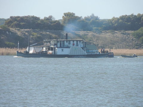 PS Federal Retreat Paddle Steamer Goolwa - Accommodation Yamba 10