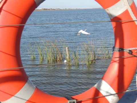 PS Federal Retreat Paddle Steamer Goolwa - Accommodation Yamba 18