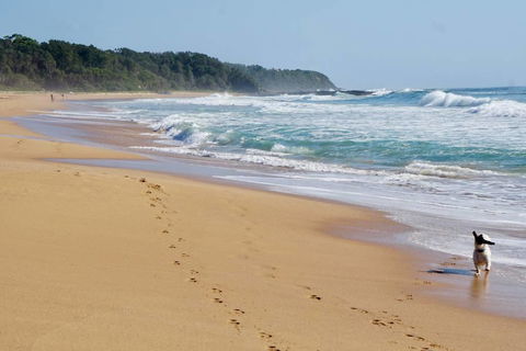 Culburra Beachhouse - Accommodation Yamba 7