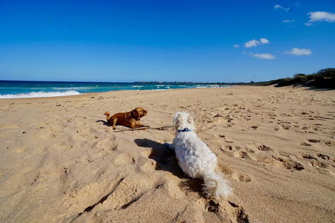 Culburra Beachhouse - Accommodation Yamba 8