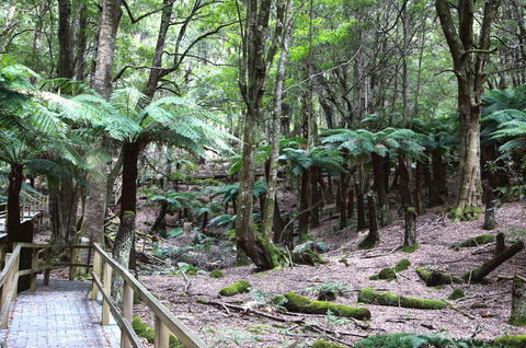 Wallace Lodge - PID-STRA-16871 - Accommodation Yamba 11