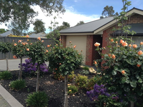C And C Tanunda - Accommodation Yamba 1