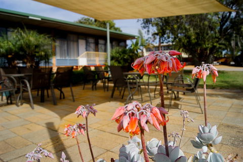 Kangaroo Island Seaview Motel - Accommodation Yamba 3