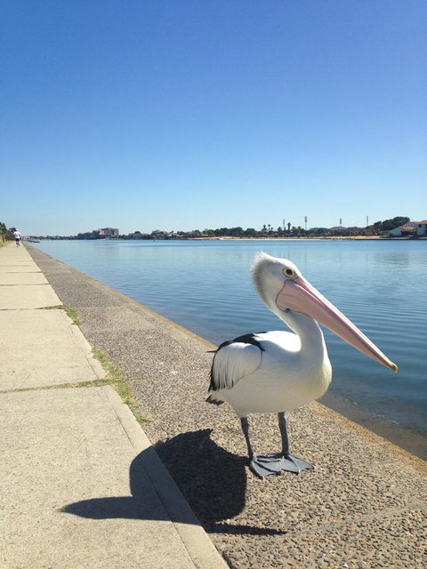 Lakeside - Accommodation Yamba 12