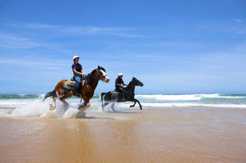 One Mile Retreat - Accommodation Yamba 26