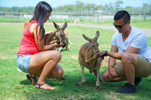 One Mile Retreat - Accommodation Yamba 25