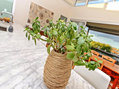 Muse On The Murray - Accommodation Yamba 25