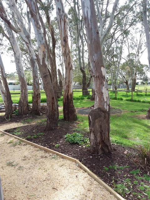 Cloisters Of Kalangadoo - Accommodation Yamba 6