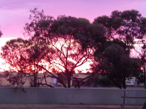 Wudinna Gawler Ranges Motel And Caravan Park - Accommodation Yamba 11