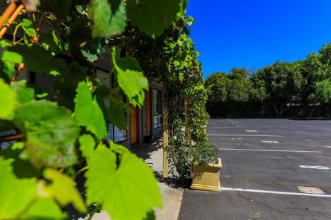 Country Roads Motor Inn Naracoorte - Accommodation Yamba 16