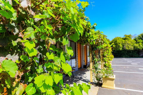 Country Roads Motor Inn Naracoorte - Accommodation Yamba 18