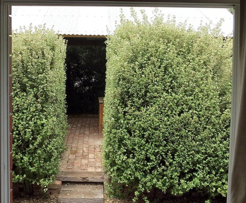 A2@Port Willy - Accommodation Yamba 13