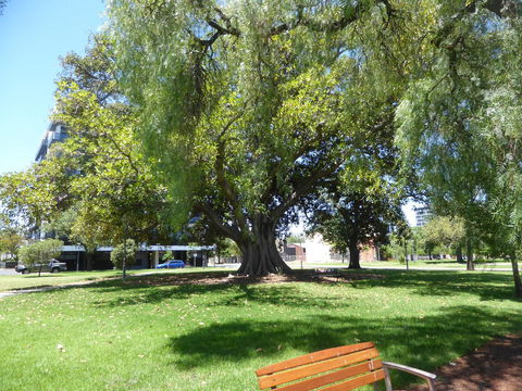 ADELAIDE CENTRAL APARTMENT - 3BR, 2BATH & CARPARK - Accommodation Yamba 30