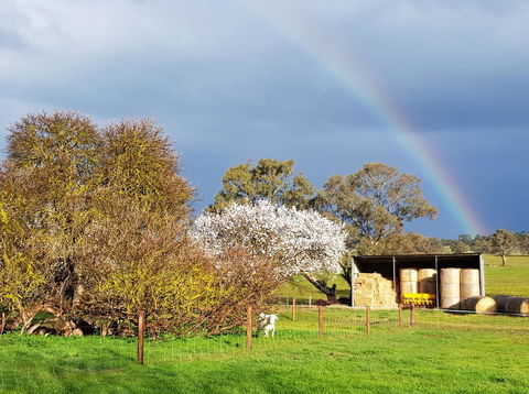 Pennys Road - Accommodation Yamba 18