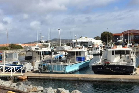 Port Lincoln Shark Apartment 2 - Accommodation Yamba 17