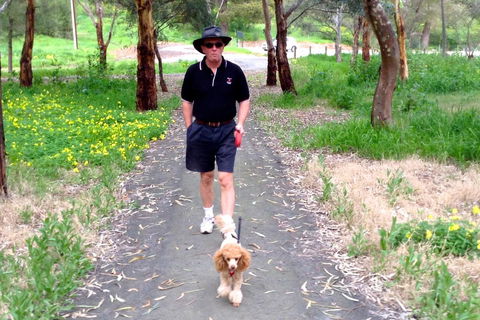 Clare Valley Cabins - Accommodation Yamba 34