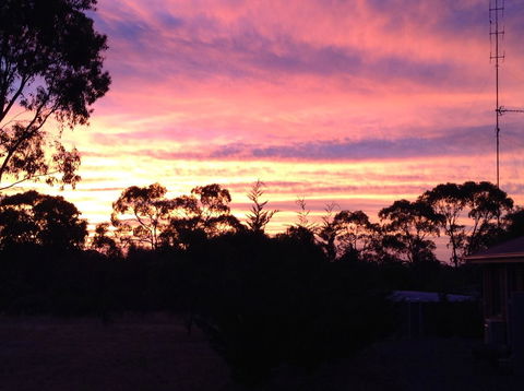Clare Valley Cabins - Accommodation Yamba 8