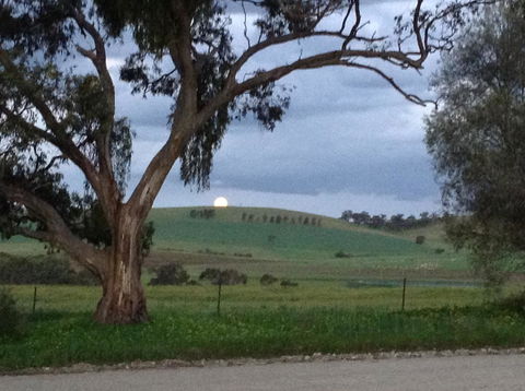 Clare Valley Cabins - Accommodation Yamba 10