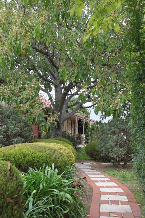 Langmeil Cottages - Accommodation Yamba 2