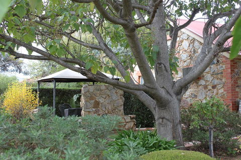 Langmeil Cottages - Accommodation Yamba 3