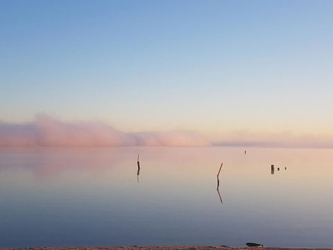 Barmera Lake Resort Motel - Accommodation Yamba 3