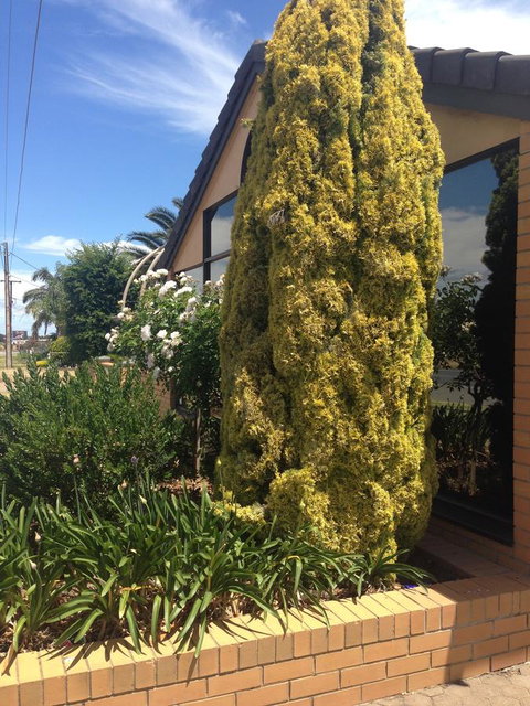 Aviators Lodge - Accommodation Yamba 9